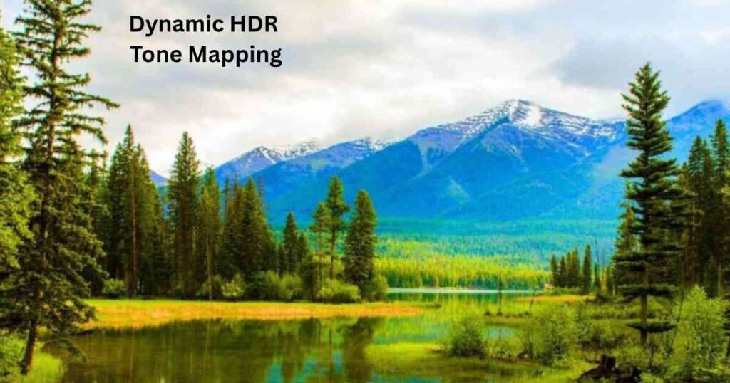 An image representing dynamic HDR tone mapping