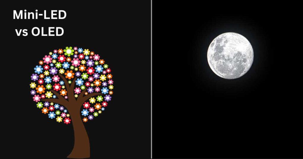Mini-LED vs OLED, popping colors vs inky blacks